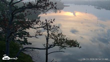 Delaware Botanic Gardens Eagles Live Cams - Aug 31, 2026, 6:55am EDT