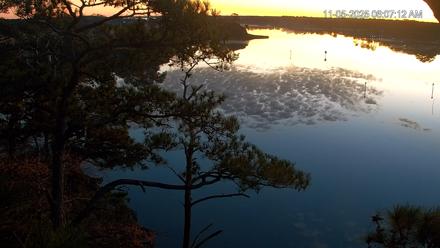 Delaware Botanic Gardens Eagles Live Cams - Nov 5, 2025, 6:07am EST