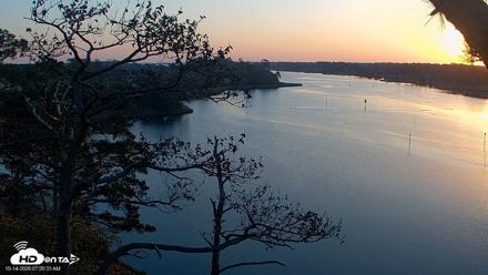 Delaware Botanic Gardens Eagles Live Cams - Oct 14, 2026, 7:21am EDT