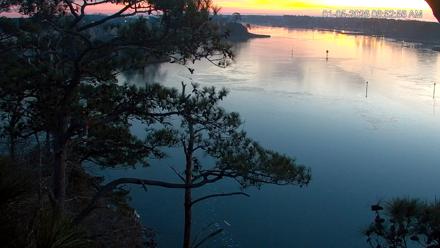 Delaware Botanic Gardens Eagles Live Cams - Jan 5, 2026, 6:53am EST