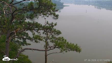 Delaware Botanic Gardens Eagles Live Cams - Jul 16, 2026, 12:05pm EDT
