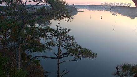 Delaware Botanic Gardens Eagles Live Cams - Nov 23, 2025, 6:57am EST