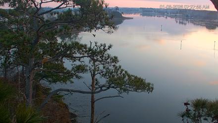 Delaware Botanic Gardens Eagles Live Cams - Jan 8, 2026, 7:28am EST