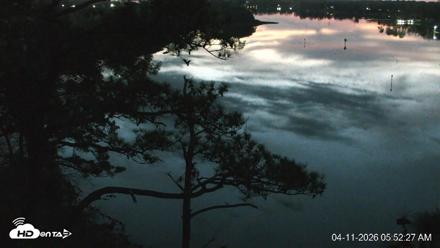 Delaware Botanic Gardens Eagles Live Cams - Apr 11, 2026, 5:53am EDT