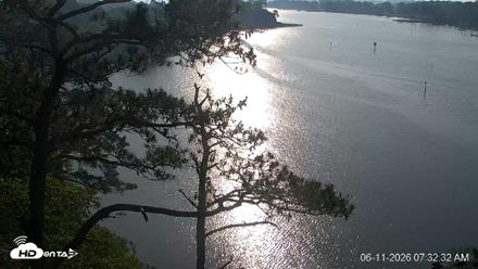 Delaware Botanic Gardens Eagles Live Cams - Jun 11, 2026, 7:33am EDT