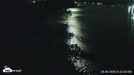 Delaware Botanic Gardens Eagles Live Cams - Aug 6, 2026, 1:23am EDT