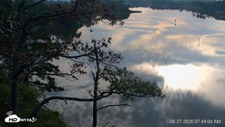 Delaware Botanic Gardens Eagles Live Cams - Aug 27, 2026, 7:52am EDT