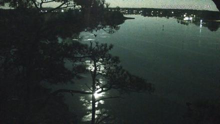 Delaware Botanic Gardens Eagles Live Cams - Jan 2, 2026, 6:07pm EST