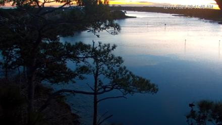 Delaware Botanic Gardens Eagles Live Cams - Dec 11, 2025, 6:42am EST