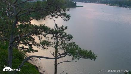 Delaware Botanic Gardens Eagles Live Cams - Jul 1, 2026, 6:05am EDT