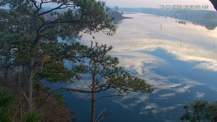 Delaware Botanic Gardens Eagles Live Cams - Dec 7, 2025, 8:31am EST