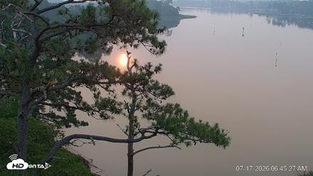 Delaware Botanic Gardens Eagles Live Cams - Jul 17, 2026, 6:46am EDT