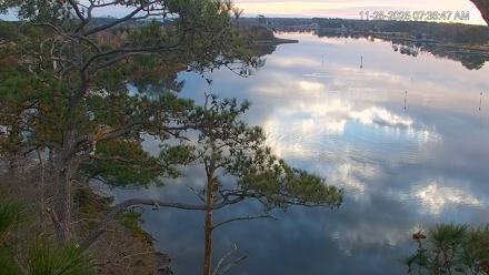 Delaware Botanic Gardens Eagles Live Cams - Nov 25, 2025, 7:37am EST