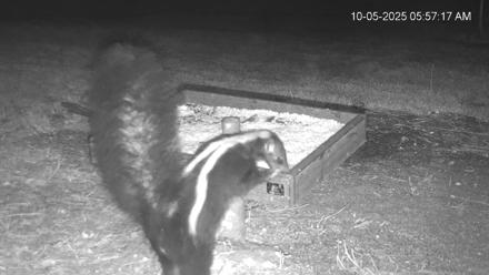 Texas Game & Ground Feeder Live Webcam - Oct 5, 2025, 5:58am CDT