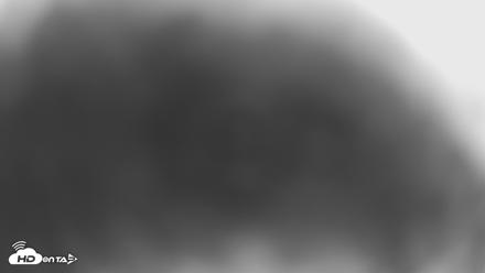 Eastern Screech Owl Nest Box Live Webcam - Apr 12, 2026, 10:06pm CDT