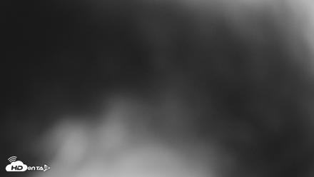 Eastern Screech Owl Nest Box Live Webcam - Apr 15, 2026, 7:34pm CDT