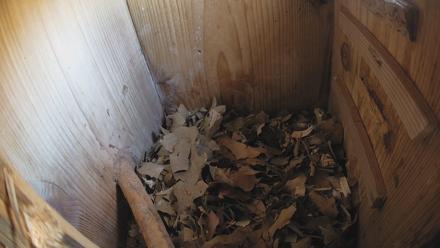 Eastern Screech Owl Nest Box Live Webcam - Dec 26, 2025, 6:28pm CST