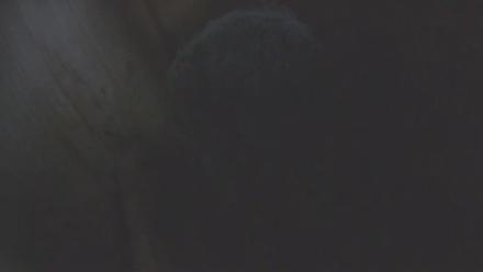 Snapshot Preview Image
