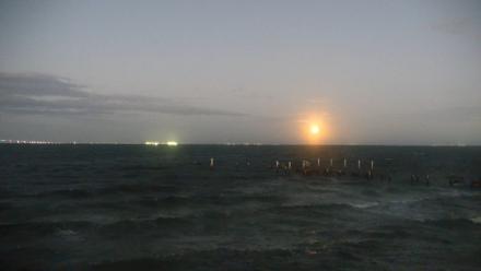 Rod & Reel Pier Live Webcam - Oct 7, 2025, 7:42pm EDT