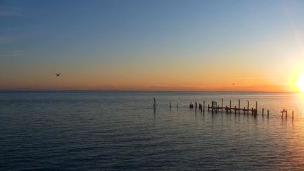 Rod & Reel Pier Live Webcam - Sep 26, 2025, 7:30am EDT