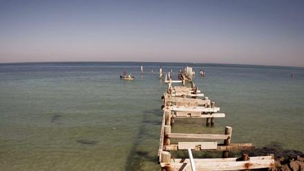 Rod & Reel Pier Live Webcam - Nov 20, 2025, 11:51am EST