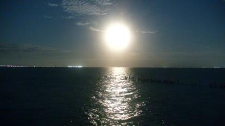 Rod & Reel Pier Live Webcam - Nov 5, 2025, 6:26pm EST