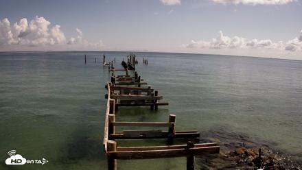Rod & Reel Pier Live Webcam - Aug 24, 2026, 10:50am EDT