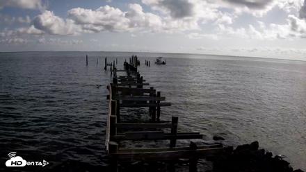 Rod & Reel Pier Live Webcam - Aug 17, 2026, 9:36am EDT