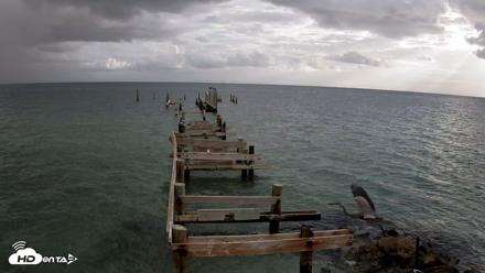 Rod & Reel Pier Live Webcam - Aug 21, 2026, 8:00am EDT