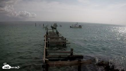 Rod & Reel Pier Live Webcam - Jun 30, 2026, 9:47am EDT