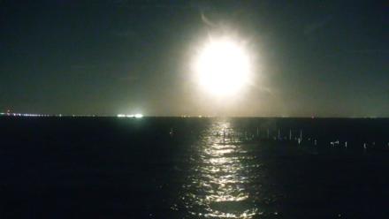Rod & Reel Pier Live Webcam - Oct 8, 2025, 8:47pm EDT