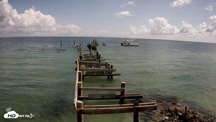 Rod & Reel Pier Live Webcam - Aug 24, 2026, 11:14am EDT