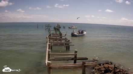 Rod & Reel Pier Live Webcam - Jun 23, 2026, 11:15am EDT
