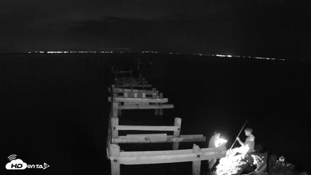 Rod & Reel Pier Live Webcam - Aug 21, 2026, 9:19pm EDT
