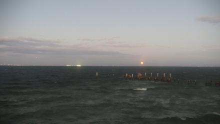Rod & Reel Pier Live Webcam - Oct 7, 2025, 7:36pm EDT