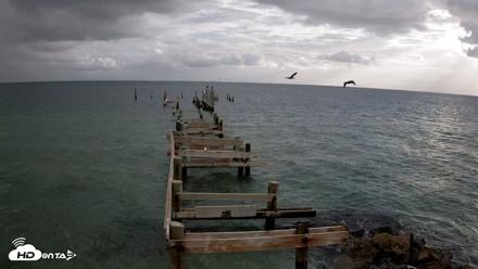 Rod & Reel Pier Live Webcam - Aug 21, 2026, 7:58am EDT