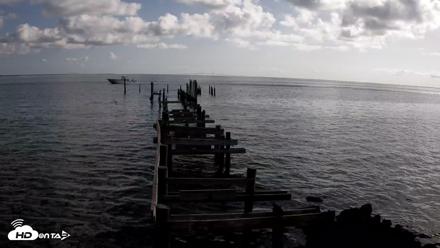Rod & Reel Pier Live Webcam - Aug 17, 2026, 9:17am EDT
