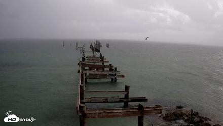Rod & Reel Pier Live Webcam - Aug 21, 2026, 8:10am EDT