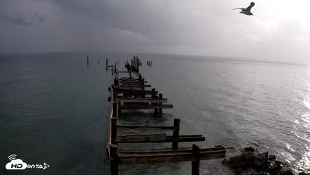 Rod & Reel Pier Live Webcam - Aug 21, 2026, 8:14am EDT