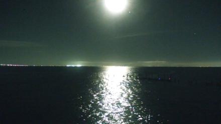 Rod & Reel Pier Live Webcam - Nov 9, 2025, 11:17pm EST
