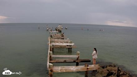 Rod & Reel Pier Live Webcam - Aug 14, 2026, 5:10pm EDT