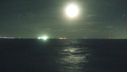 Rod & Reel Pier Live Webcam - Nov 11, 2025, 12:00am EST