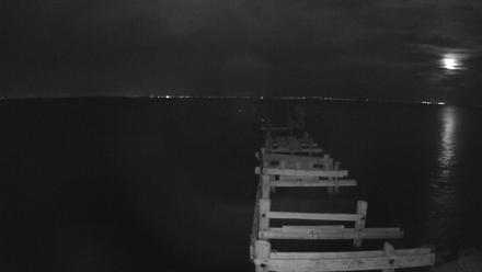 Rod & Reel Pier Live Webcam - Dec 5, 2025, 6:54pm EST