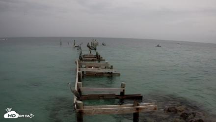 Rod & Reel Pier Live Webcam - May 2, 2026, 1:50pm EDT