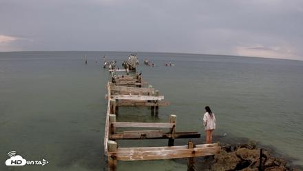 Rod & Reel Pier Live Webcam - Aug 14, 2026, 5:09pm EDT