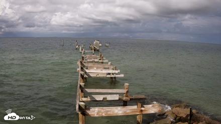 Rod & Reel Pier Live Webcam - Sep 1, 2026, 5:13pm EDT