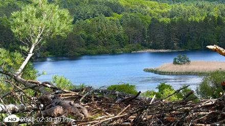 VINS Bald Eagles Nest Live Cams - May 27, 2026, 2:40pm EDT