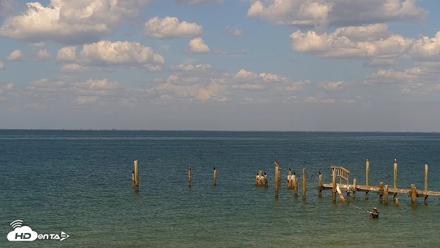 Anna Maria Island Florida Live Webcam - Jul 23, 2026, 4:08pm EDT