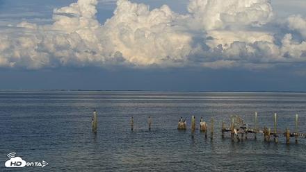 Anna Maria Island Florida Live Webcam - Sep 22, 2026, 5:23pm EDT