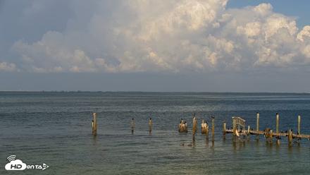 Anna Maria Island Florida Live Webcam - Aug 26, 2026, 4:37pm EDT